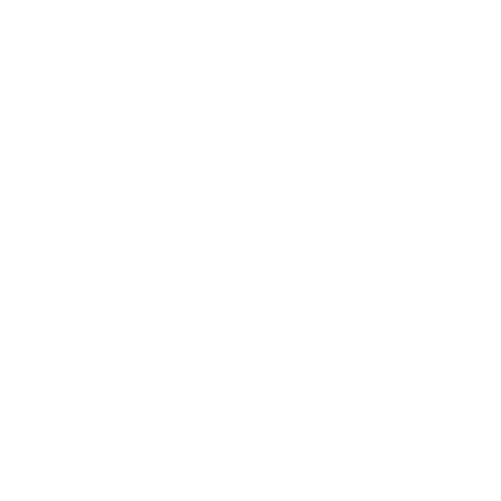 sebrae.png