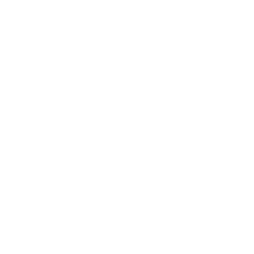 vivo.png